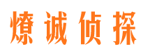 乡城市私家侦探